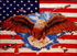 Flagge, U.S.A. mit Adler neu
