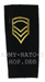 U.S. Army Abzeichen Schulterklappe