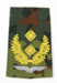 Rangabzeichen, Bw Heer tarn/gold General-Major Flieger