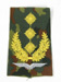 Rangabzeichen, Bw Heer tarn/gold General-Leutnant Flieger