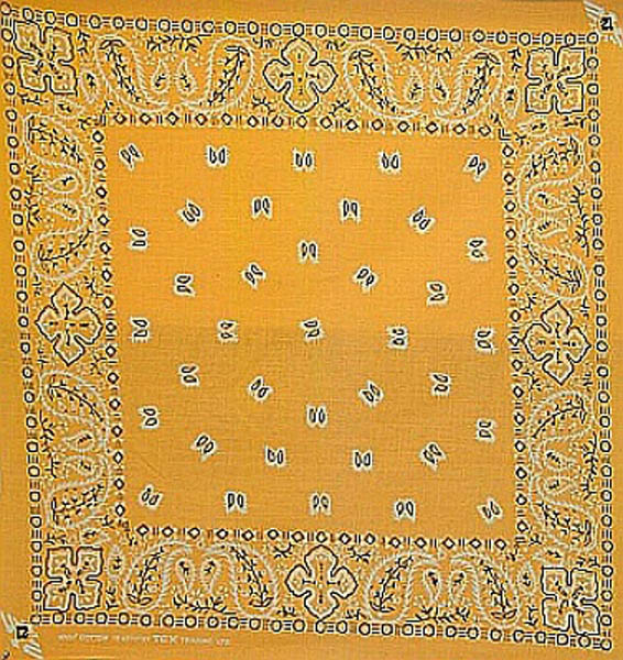 PAISLEY (ORANGE)