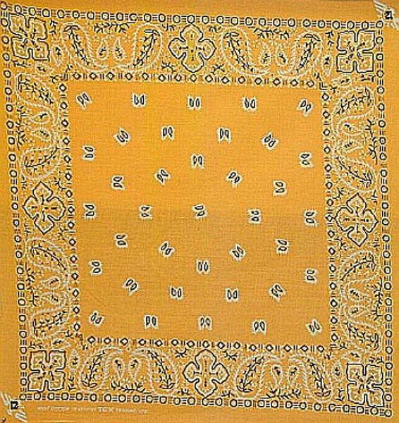 PAISLEY (ORANGE)