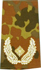 Rangabzeichen, Bw Heer tarn/gold Brigade-General