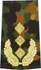 Rangabzeichen, Bw Heer tarn/gold General-Leutnant