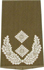 Rangabzeichen, Bw Heer oliv/silber Oberstleutnant
