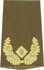 Rangabzeichen, Bw Heer oliv/gold Brigade-General