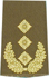 Rangabzeichen, Bw Heer oliv/gold General-Leutnant